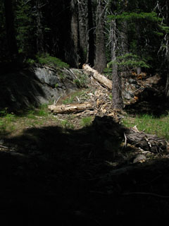 South of the Summit City Creek junction the trail deteriorates